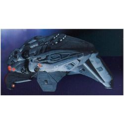 Star Trek Kazon Fighter