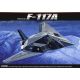 F-117A Stealth Fighter