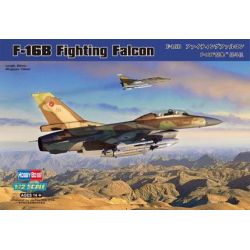 F-16B Fighting Falcon