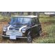 Old Mini Cooper