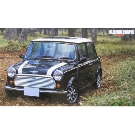 Old Mini Cooper