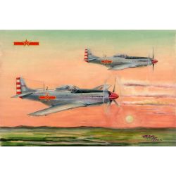 PLAAF P-51D/K Mustang