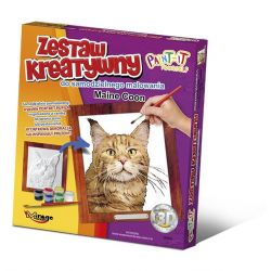 Set de Pintura 3D - Gato Maine Coon