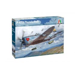 P-47D Thunderbolt